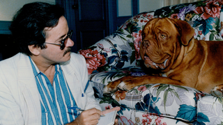 Disney+'s <i>Turner & Hooch </i>reboot casts a bunch of humans, refuses to show us Hooch